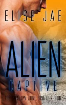 Alien Captive: A Reverse Harem Alien Romance (The Shadow Zone Brotherhood Book 4)