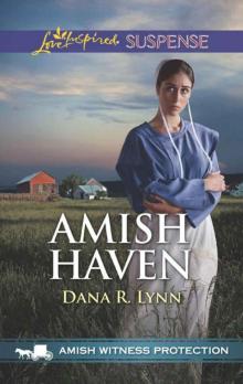 Amish Haven (Amish Witness Protection Book 3)