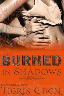 Burned In Shadows (Shadow Unit Series Book 2)