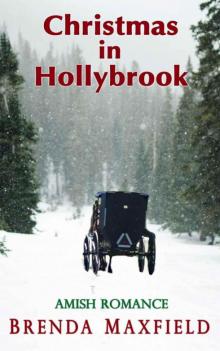 Christmas In Hollybrook (Hollybrook Holiday Amish Romance)