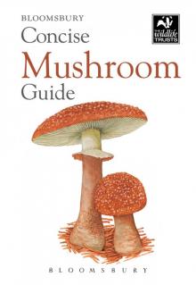 Concise Mushroom Guide