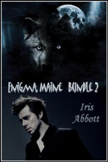 Enigma, Maine, Bundle 2