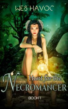 Hunt for the Necromancer - Book 1