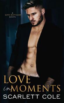 Love In Moments: An opposites attract hockey romance (Love Distilled Book 2)