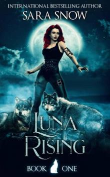 Luna Rising: Book 1 of the Luna Rising Series