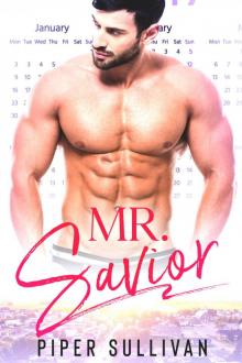 Mr. Savior: A Roommate Hero Romance