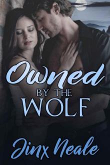 Owned by the Wolf (Marked Mates Book 1)