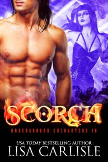 SCORCH: An Incubus versus Succubus Demon Romance