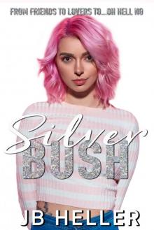 Silver Bush: Awkward Book Three