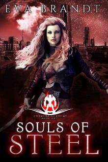 Souls of Steel: A Reverse Harem Sci Fi Bully Romance (Chimera Academy Book 1)