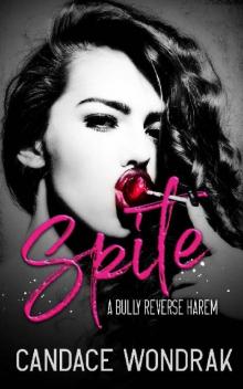 Spite: A Bully Reverse Harem