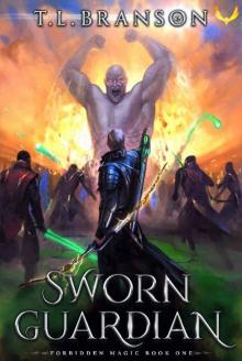 Sworn Guardian: A LitRPG/GameLit Adventure (Forbidden Magic Book 1)