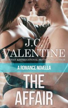 The Affair: A Romance Novella