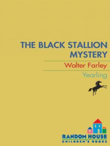 The Black Stallion Mystery