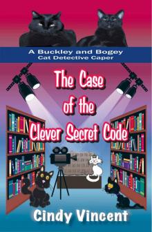 The Case of the Clever Secret Code