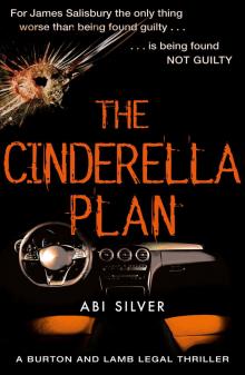 The Cinderella Plan