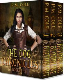 The Cog Chronicles Box Set