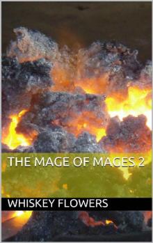 The Mage of Mages 2