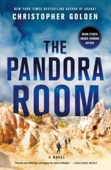 The Pandora Room: A Novel