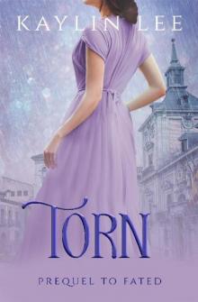 Torn: Novelette Prequel to Cinderella