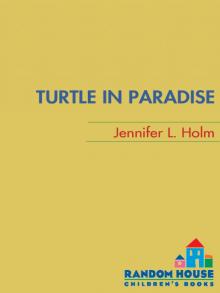 Turtle in Paradise