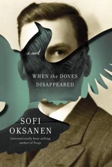 When the Doves Disappeared: A Novel