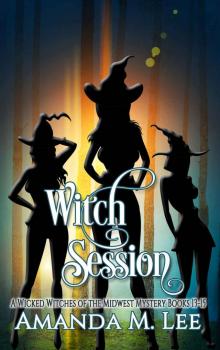 Wicked Witches of the Midwest Mystery Box Set