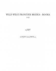 Wild West Frontier Brides Boxed Set Vol 1