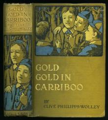 Gold, Gold, in Cariboo! A Story of Adventure in British Columbia