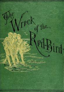 The Wreck of the Red Bird: A Story of the Carolina Coast