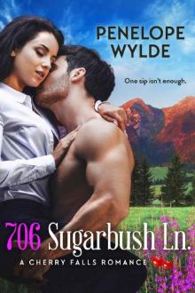 706 Sugarbush Lane: Older Man, Younger Woman Small Town Romance