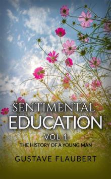 Sentimental Education; Or, The History of a Young Man. Volume 1