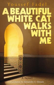 A Beautiful White Cat Walks with Me