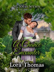 A Chance Encounter (St. John Series Book 10)