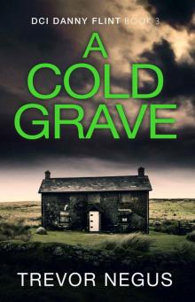 A Cold Grave: A DCI Danny Flint Book