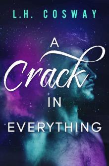 A Crack in Everything