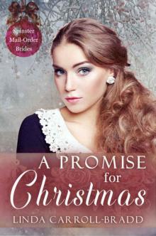 A Promise for Christmas