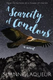 A Scarcity of Condors