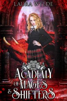 Academy of Mages and Shifters 1