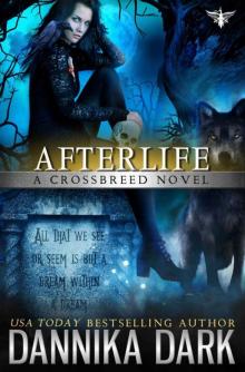 Afterlife