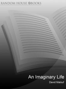 An Imaginary Life