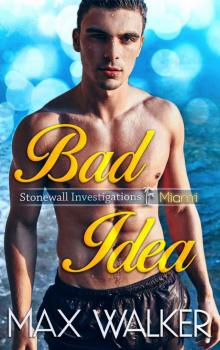 Bad Idea (Stonewall Investigations Miami Book 1)