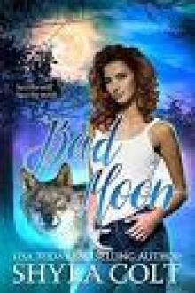 Bad Moon: Bad Duology Book Two