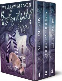 Beezley and the Witch series Box Set