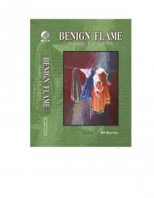 Benign Flame Saga Of Love In Chapters Format