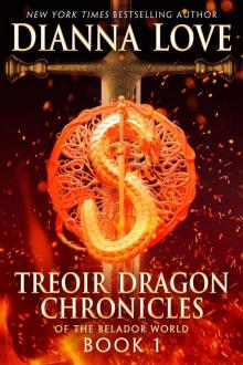 Book 1: Treoir Dragon Chronicles of the Belador World, Book 1