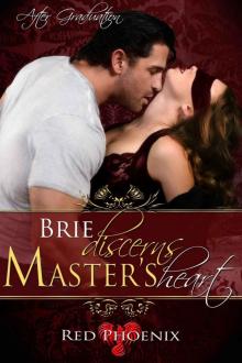 Brie Discerns Master's Heart (After Graduation, #6)