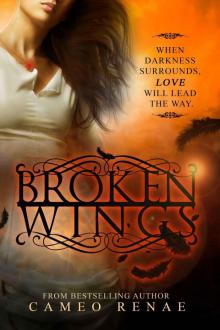 Broken Wings (Hidden Wings Series Book Two)