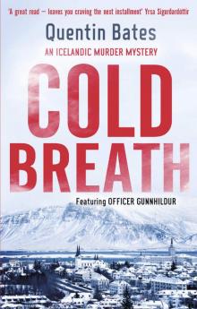 Cold Breath (Gunnhildur Mystery Book 7)