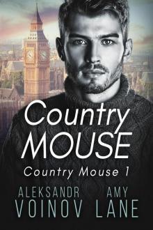 Country Mouse_1